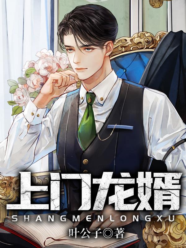 上门龙婿作者叶公子作品