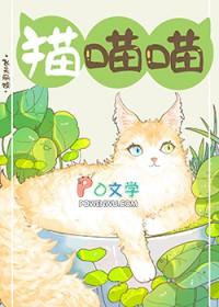 捡到流浪猫怎么办 送去哪里