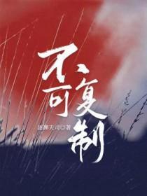 不可复制的日子