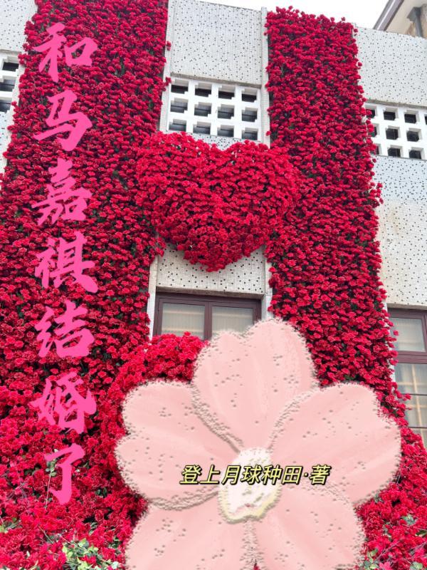 马嘉祺和你结婚
