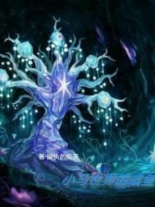 小马的游戏视频