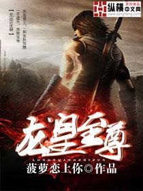 龙皇至尊全集免费观看高清