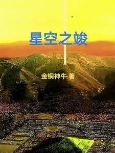 星空之颠