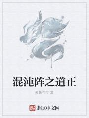 混沌之道书籍