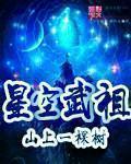 星空武祖TXT