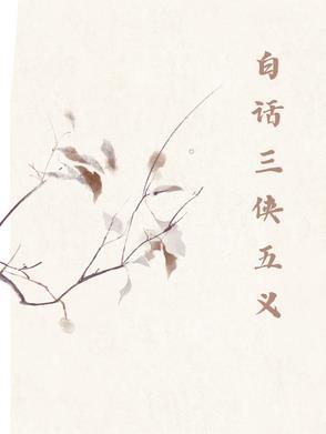 三侠五义什么意思