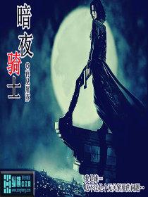 暗夜骑士6