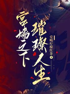 宫墙之内txt