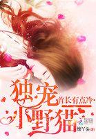 首长求轻宠