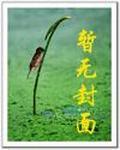 不知不觉爱上你是什么歌
