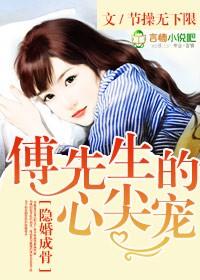 傅先生的隐婚成爱