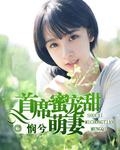 首席的蜜宠宝贝