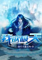 我欲天公试比高上一句