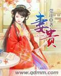 短剧夫荣妻贵