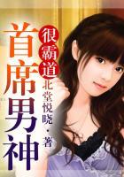 首席男神宠不停