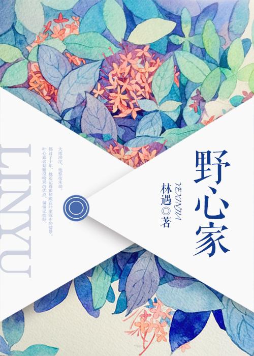 野心家橙光游戏制霸模式