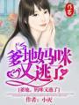妈咪又逃了 小灭
