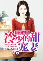 蜜爱婚宠冷帝的心尖宠