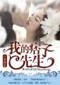 我的痞子先生无删减版