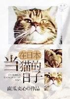 在日本当猫的日子图片