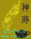 神游矢