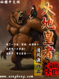 大地皇者实力如何啊