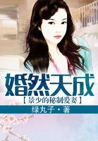 景少的秘制爱妻