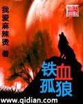 铁血战狼全集免费观看