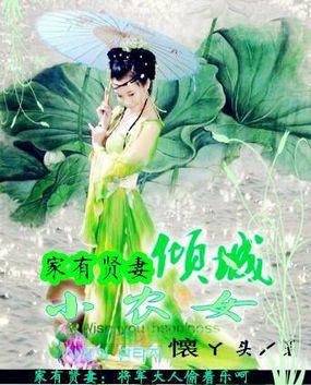 家有贤妻免费阅读