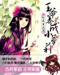 王爷养成文