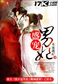 盛宠男妃by