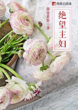 绝望主妇台词
