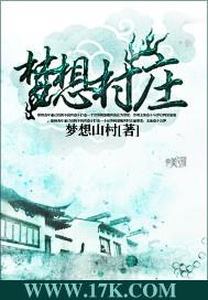 梦想村庄单机破解版