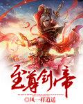 至尊剑帝TXT奇书网