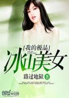 我的极品冰山总裁老婆