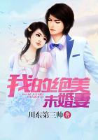 我的绝美未婚妻全集观看