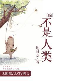 综不是人类晋江
