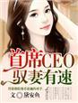 首席驭灵师西瓜