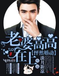 怦然婚动老婆高高在上原著叫什么名字