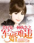 盛世军婚全文免费阅读军