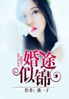 婚途似锦by袖刀全文免费阅读