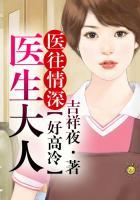 医生大人宠妻上瘾