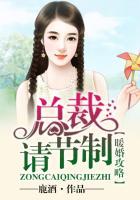 总裁轻点宠免费阅读