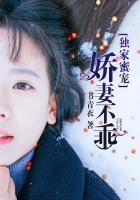独家蜜宠名门妻(完整版) 汐汐晚晴