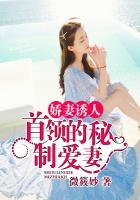 娇妻诱人首领的秘制爱妻全文阅读