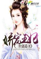 娇宠王妃太会撩