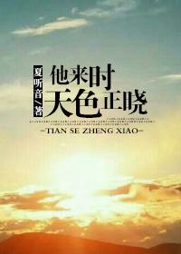 他来时夜色正浓免费阅读