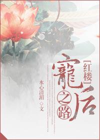 红楼之宠妃格格党