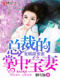 宠妻甜蜜蜜总裁的掌中宝妻