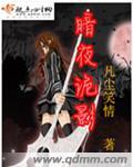 暗夜之影完整版